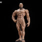 [PREORDER 051726] METYTOYZ MT-GSSW 1/10 Gladiator Series Spartan Warrior