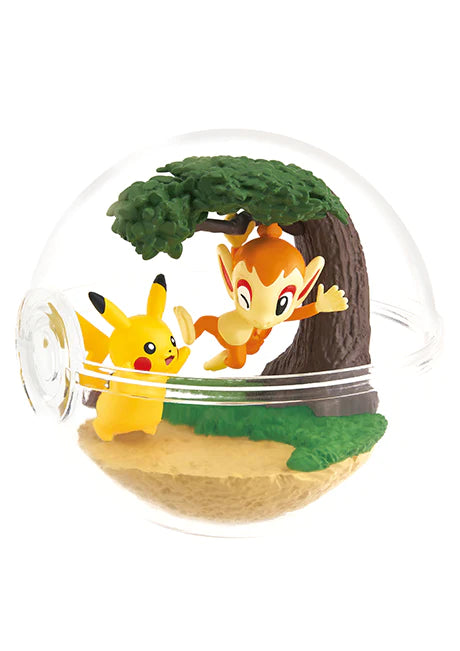 [PREORDER] SET OF 6 - POKEMON Terrarium 12