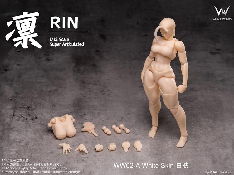[PREORDER] Whale Works WW02-A 1/12 Super Movable Female Figure: Rin (White Skin)