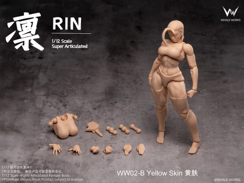 [PREORDER] Whale Works WW02-A 1/12 Super Movable Female Figure: Rin (Yellow Skin)