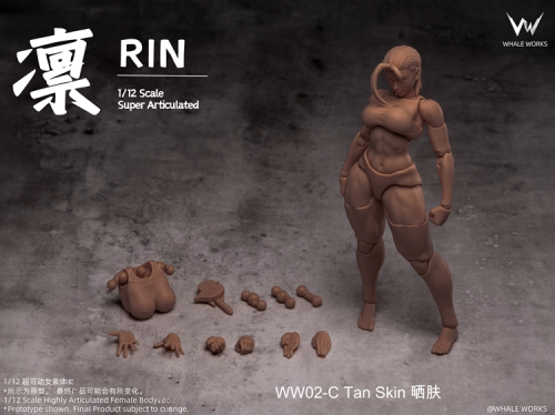 [PREORDER] Whale Works WW02-A 1/12 Super Movable Female Figure: Rin (Suntan Skin)