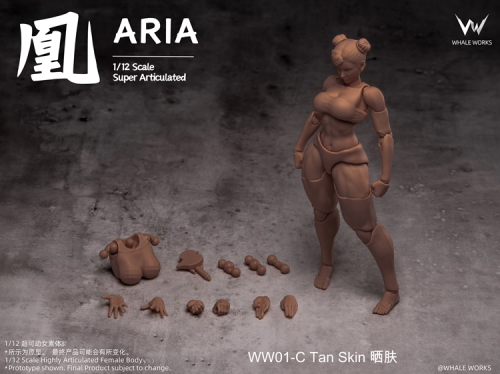 [PREORDER] Whale Works WW01-A 1/12 Super Movable Female Figure: ARIA (Suntan Skin)