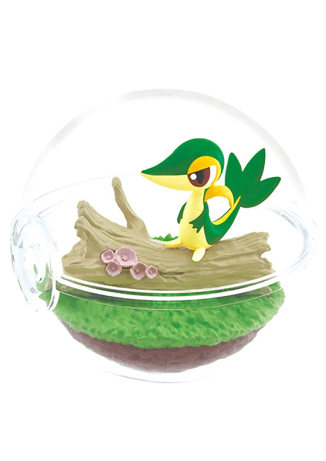 [PREORDER] SET OF 6 - POKEMON Terrarium 12