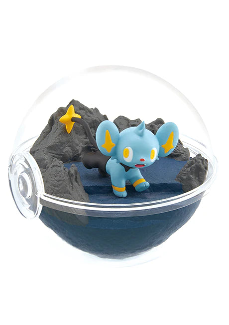 [PREORDER] SET OF 6 - POKEMON Terrarium 12