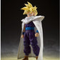 [PREORDER] S.H.Figuarts SUPER SAIYAN SON GOHAN-THE FIGHTER WHO SURPASSED GOKU