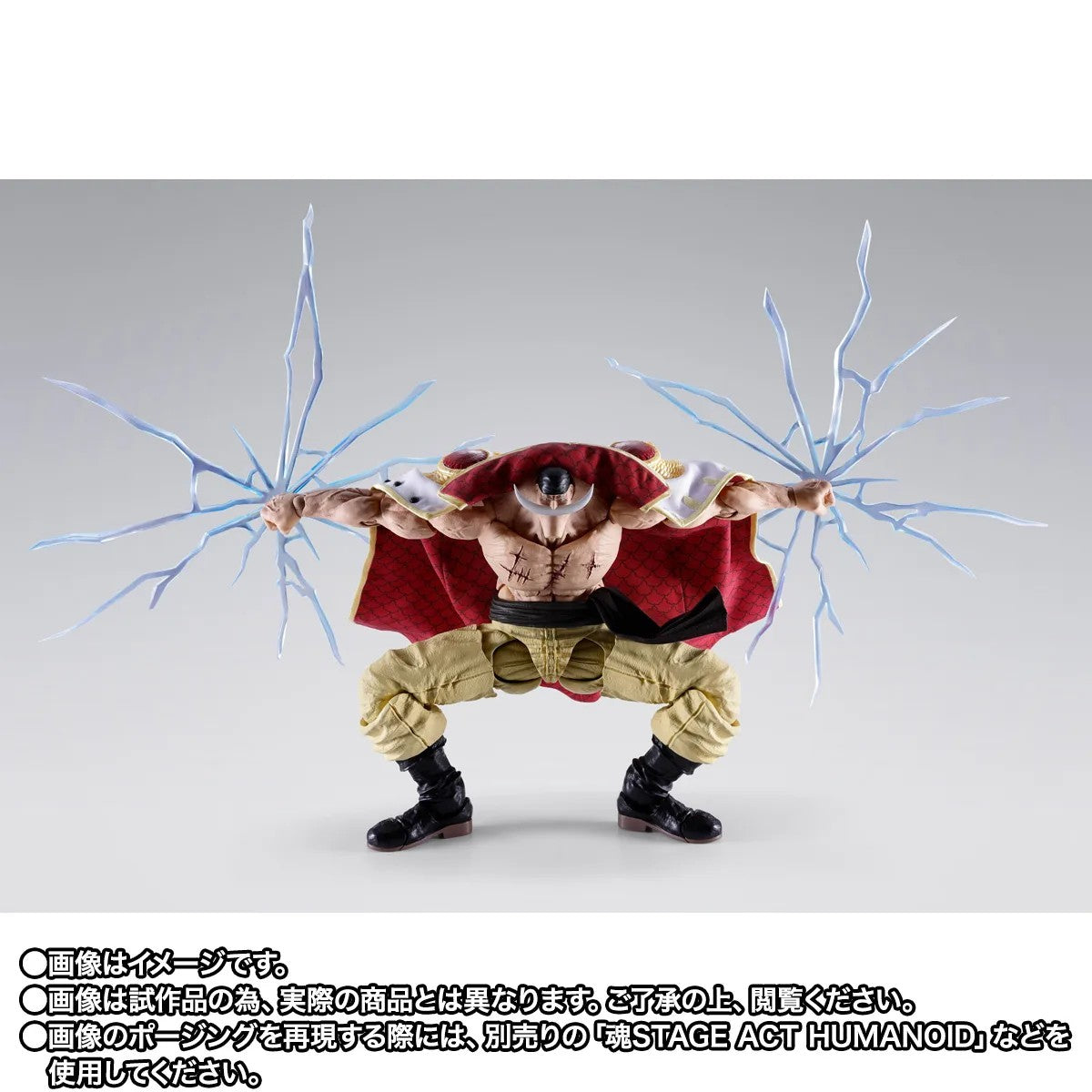 [PREORDER 010427] S.H.Figuarts EDWARD.NEWGATE -MARINEFORD-