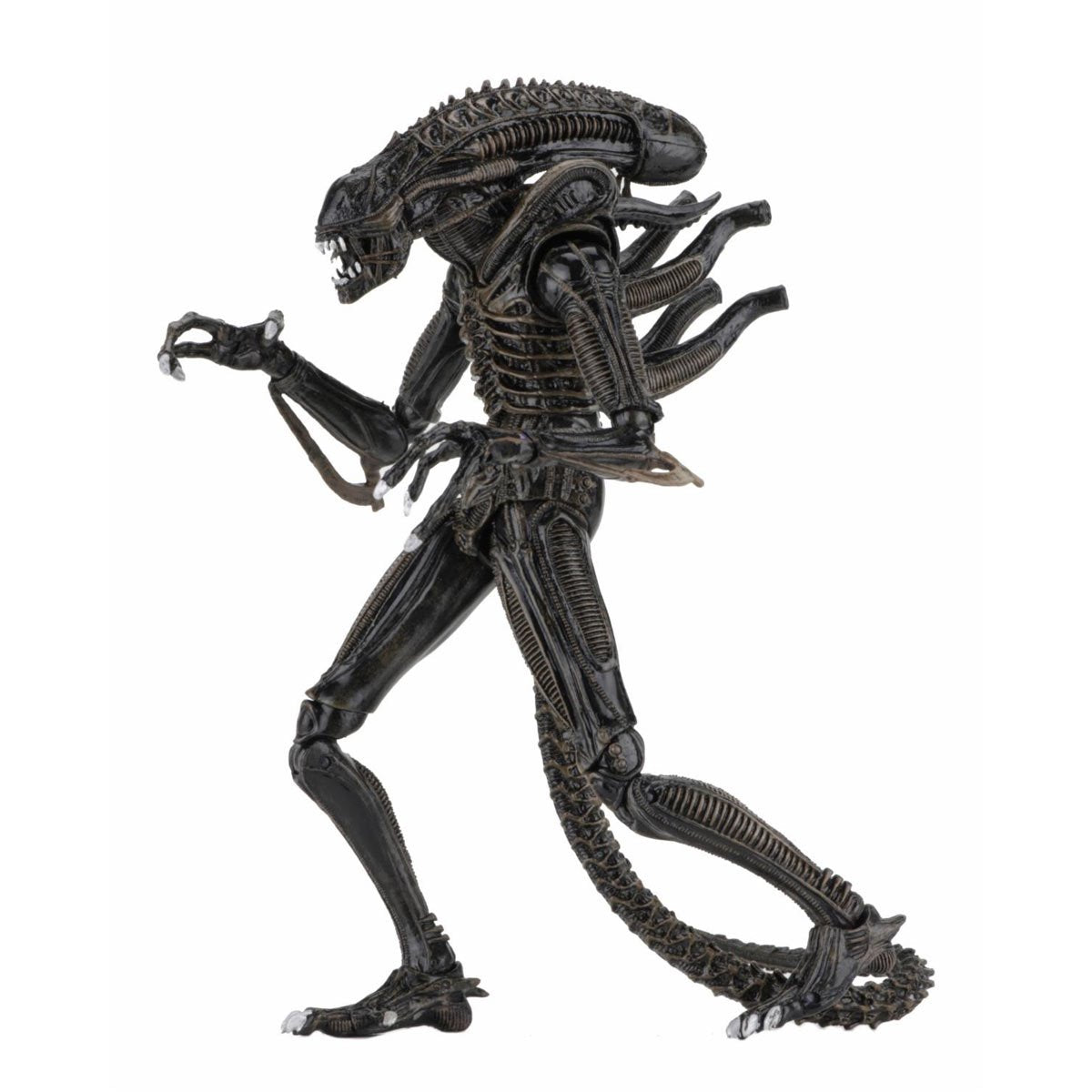 [PREORDER 051226] NECA Alien 7in Ultimate Aliens Warrior (1986) Brown