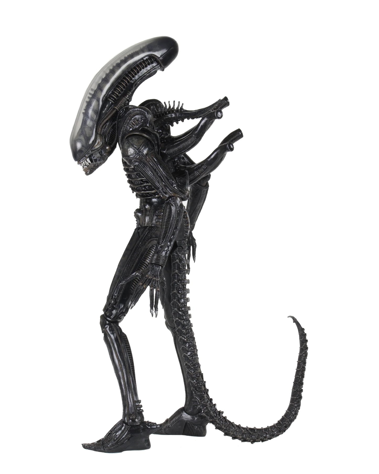 [PREORDER 051226] NECA Alien 1/4 Scale Action Figure - Big Chap