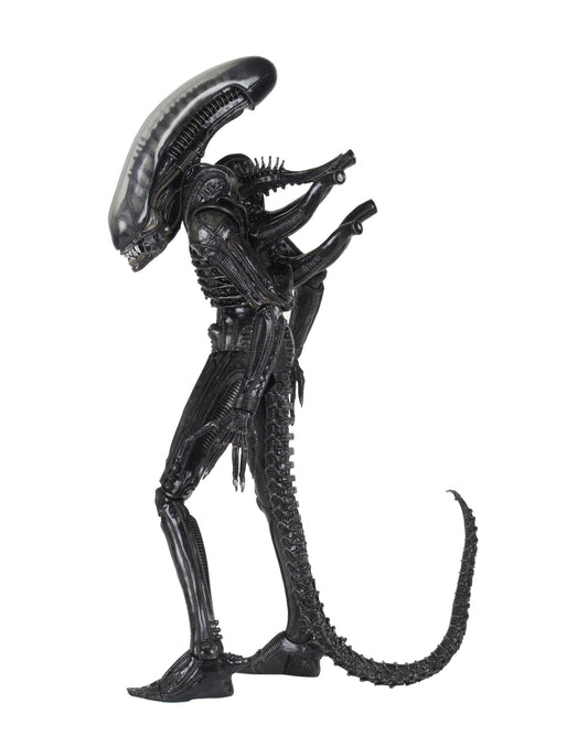 [PREORDER 051226] NECA Alien 1/4 Scale Action Figure - Big Chap