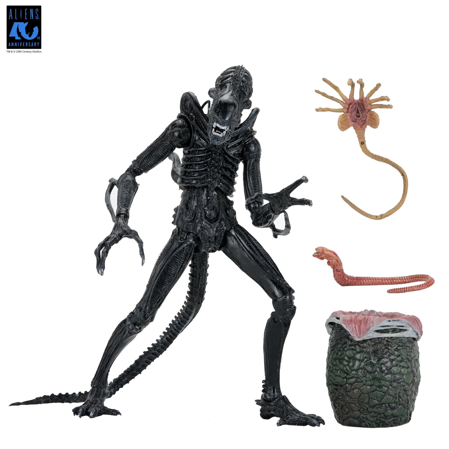 [PREORDER 051226] NECA Aliens 7in 40th Anniversary Ultimate Warrior Xenomorph (Black)