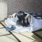 [PREORDER] Banpresto SADAKO BUST FIGURE-SADAKO-