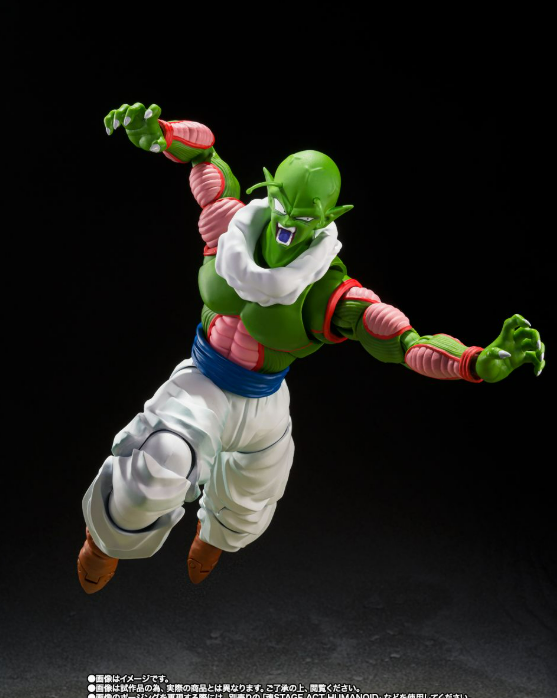 [PREORDER] S.H.Figuarts NAIL