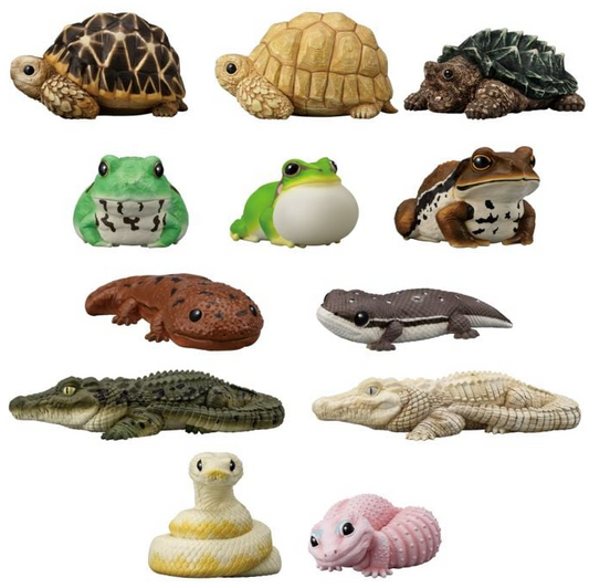 [PREORDER] BOX OF 12 - TE-NORI FRIENDS 12 -REPTILES & AMPHIBIANS-  W/O GUM