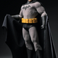 [PREORDER 041926] SSR X DGtoys SSC-017 1/6 HUSH 2.0