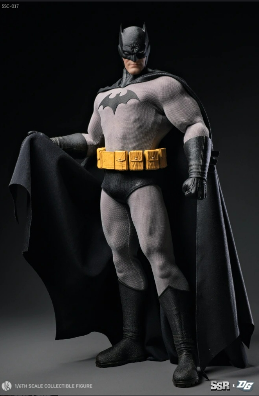 [PREORDER 041926] SSR X DGtoys SSC-017 1/6 HUSH 2.0