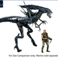 [PREORDER 051226] NECA Aliens - Ultra Deluxe Boxed Figure - 40th Anniversary Alien Queen