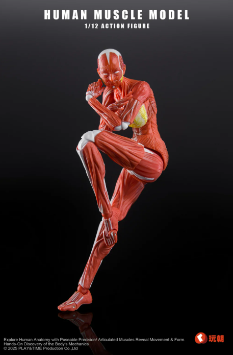 [PREORDER 091326] 1/12 Human Muscle Red Woman