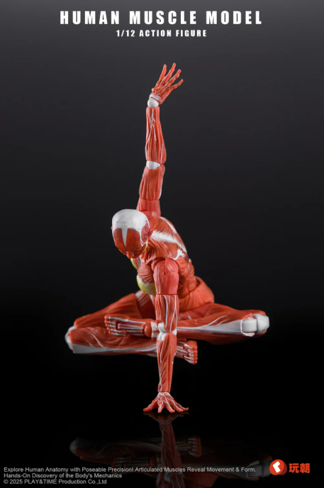 [PREORDER 091326] 1/12 Human Muscle Red Woman