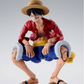 [PREORDER 102026] S.H.Figuarts MONKEY.D.LUFFY -TWO YEARS LATER-