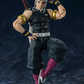 [PREORDER 102026] S.H.Figuarts TENGEN UZUI
