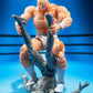 [PREORDER] S.H.Figuarts KINNIKUMAN -PERFECT ORIGIN ARC-