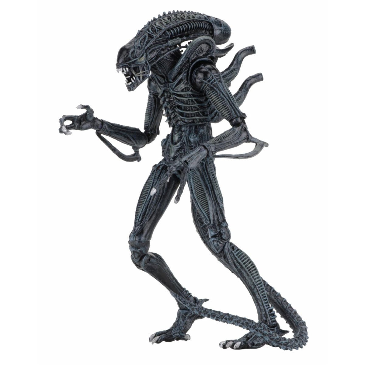 [PREORDER 051226] NECA Alien 7in Ultimate Aliens Warrior (1986) Blue