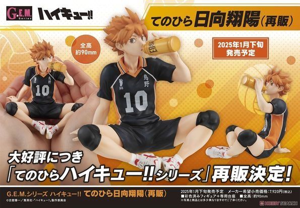 [PREORDER] G.E.M. series Haikyu Palm size Shoyo Hinata Repeat