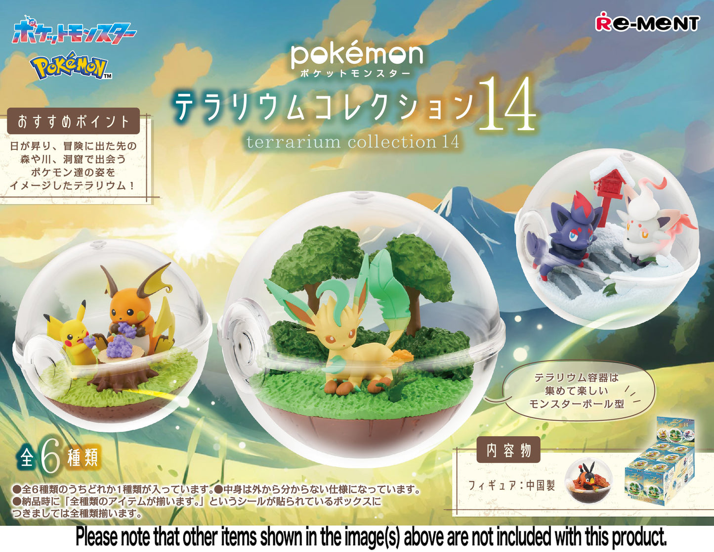 [PREORDER] BOX OF 6 - POKEMON Terrarium 14