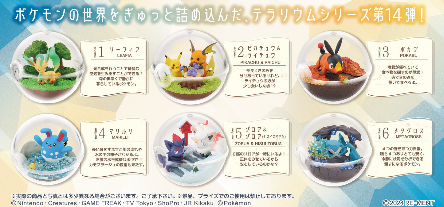 [PREORDER] BOX OF 6 - POKEMON Terrarium 14