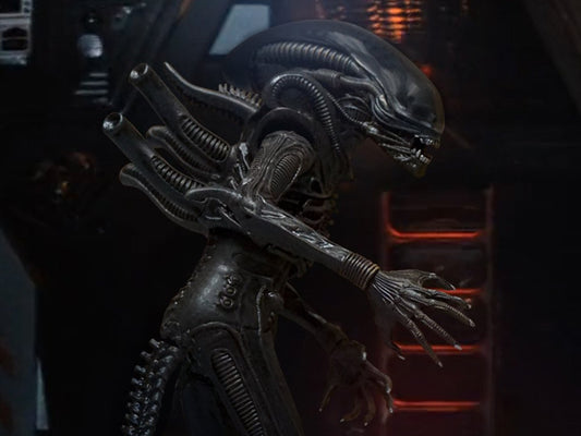 [PREORDER] MEZCO One: 12 Collective Alien