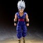 [PREORDER] S.H.Figuarts Son Gohan Beast