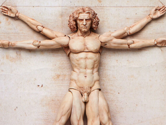 [PREORDER] Figma Vitruvian Man - The Table Museum